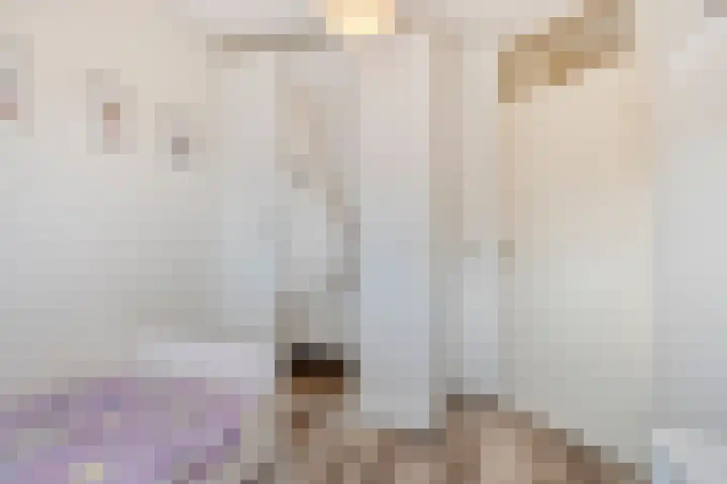Fransebaan 572 Eindhoven thumbnail 31