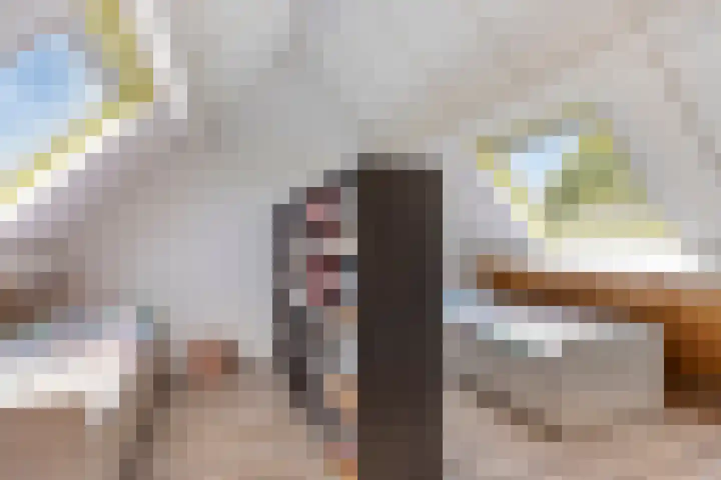 Fransebaan 572 Eindhoven thumbnail 34