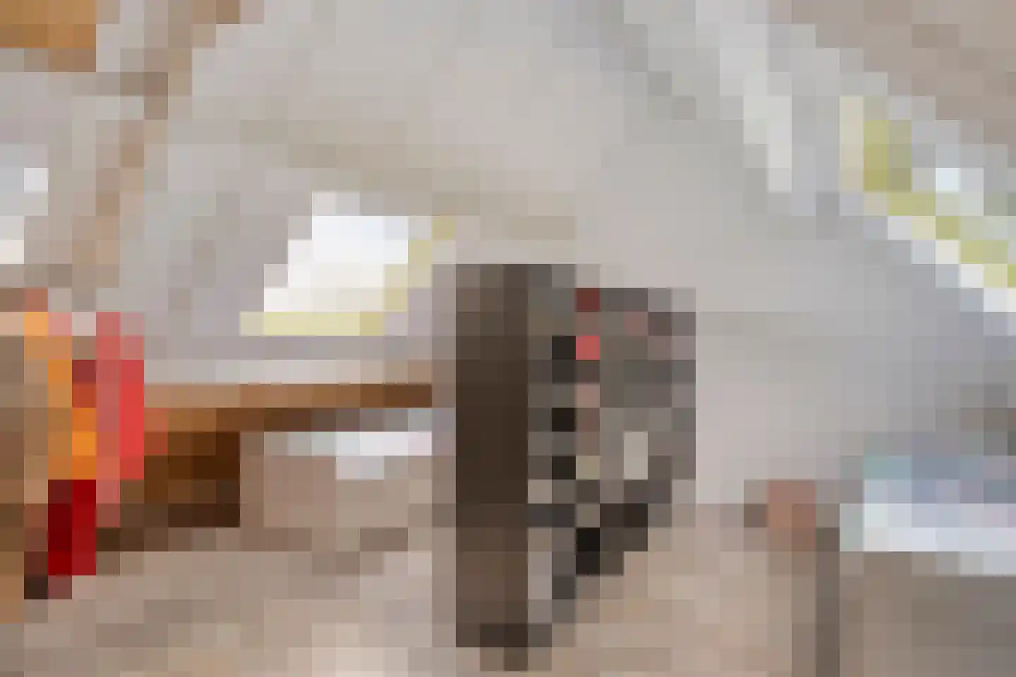 Fransebaan 572 Eindhoven thumbnail 35