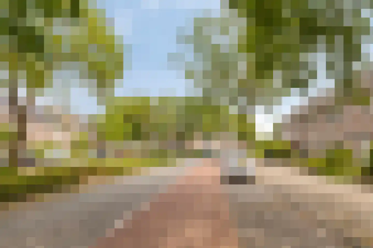Fransebaan 572 Eindhoven thumbnail 43