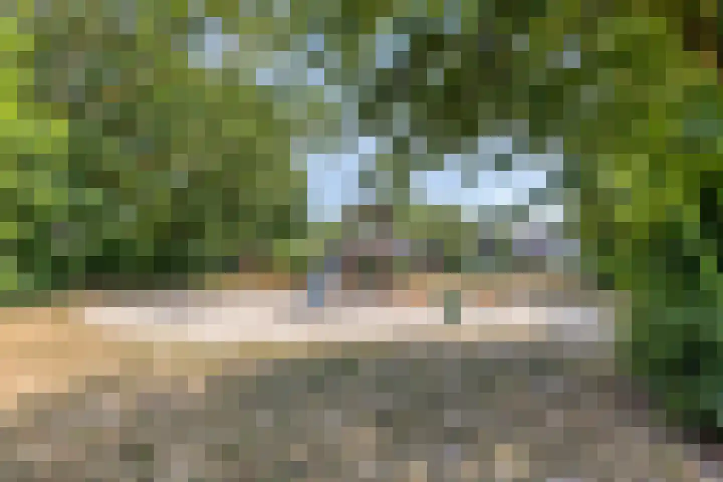 Fransebaan 572 Eindhoven thumbnail 44