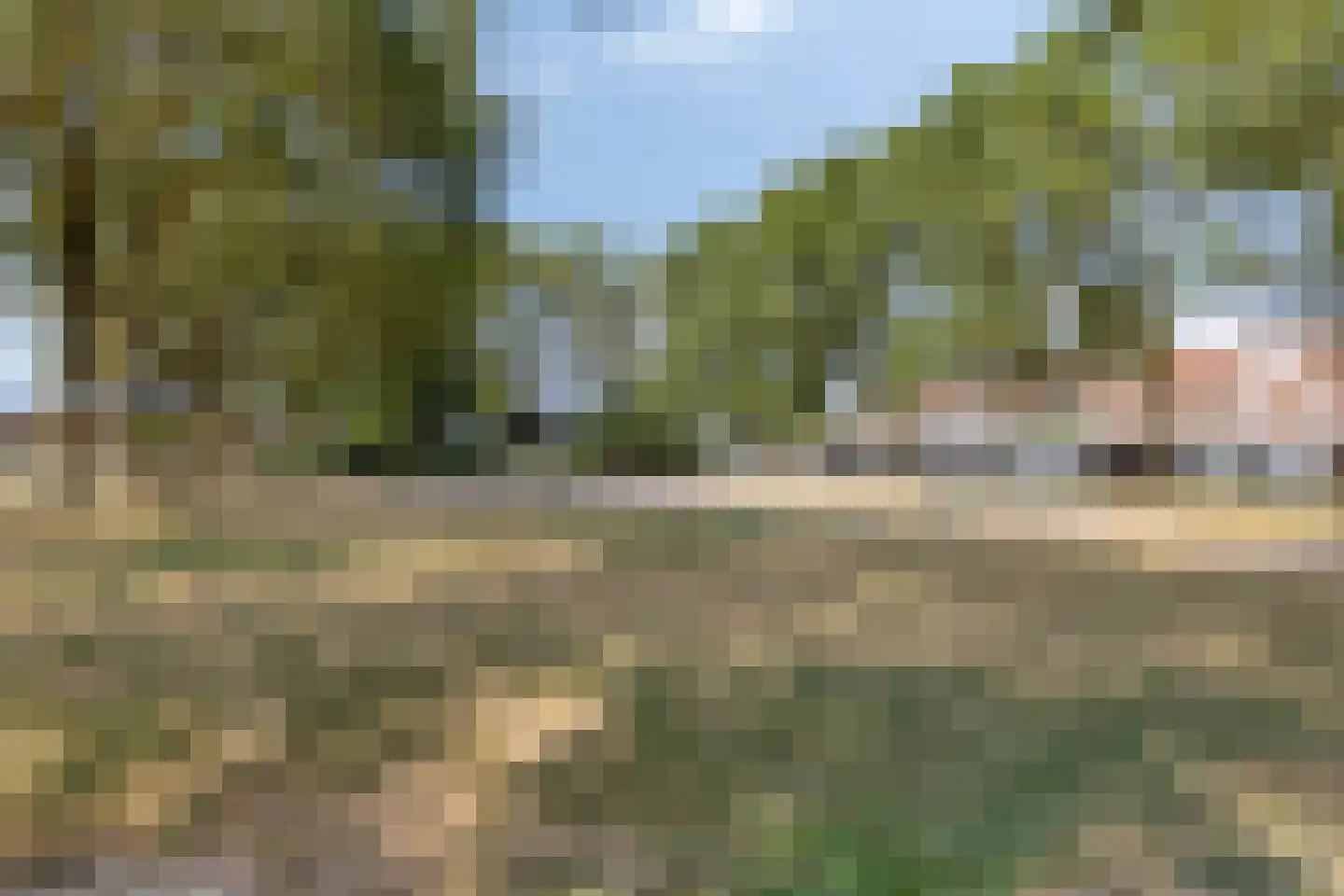 Fransebaan 572 Eindhoven thumbnail 45