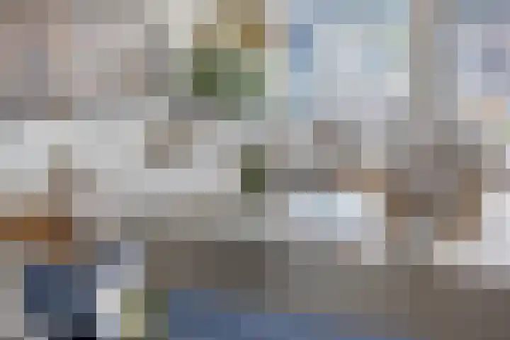 Fransebaan 78 Eindhoven thumbnail 11