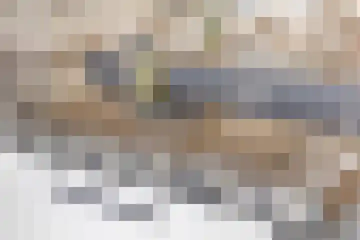 Fransebaan 78 Eindhoven thumbnail 16