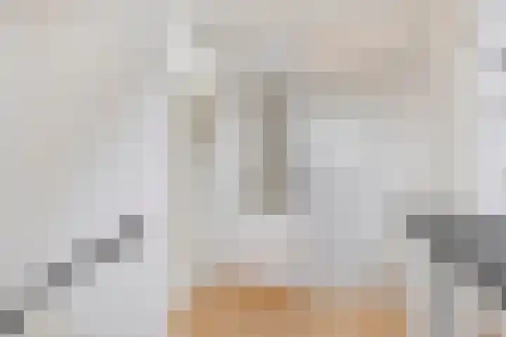 Fransebaan 78 Eindhoven thumbnail 17