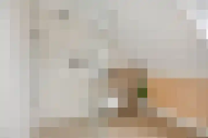 Fransebaan 78 Eindhoven thumbnail 19