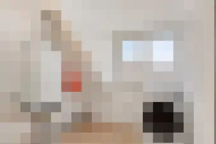 Fransebaan 78 Eindhoven thumbnail 26