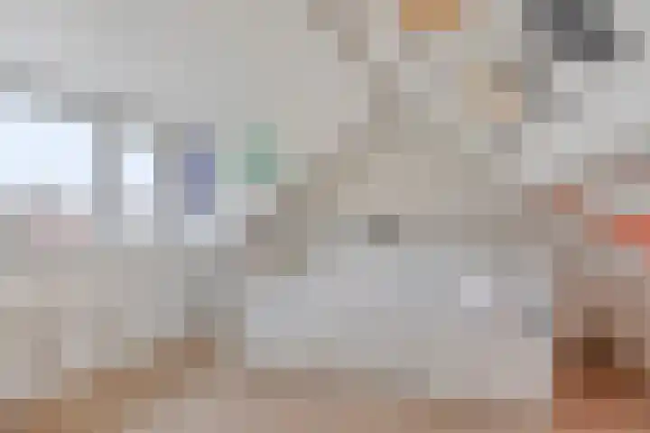 Fransebaan 78 Eindhoven thumbnail 27
