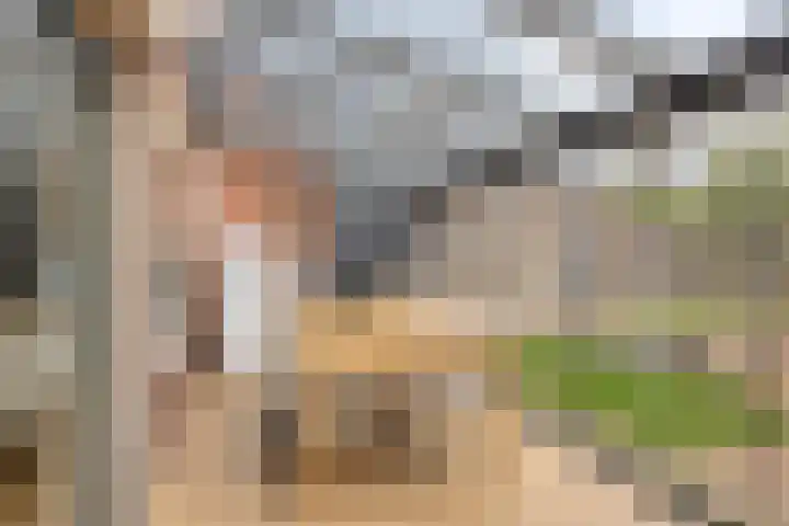 Fransebaan 78 Eindhoven thumbnail 29