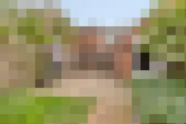 Fransebaan 78 Eindhoven thumbnail 31
