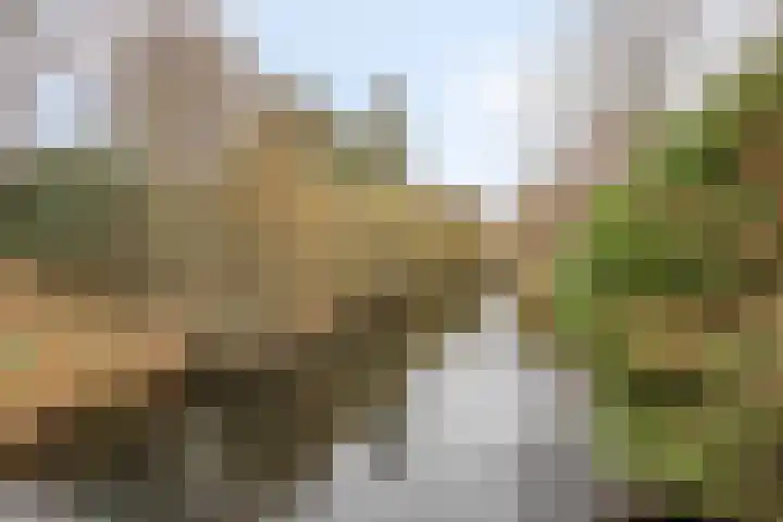 Fransebaan 78 Eindhoven thumbnail 42