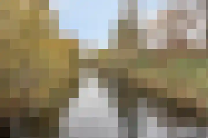 Fransebaan 78 Eindhoven thumbnail 43