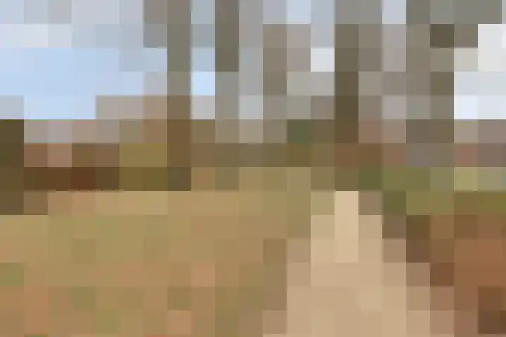 Fransebaan 78 Eindhoven thumbnail 45