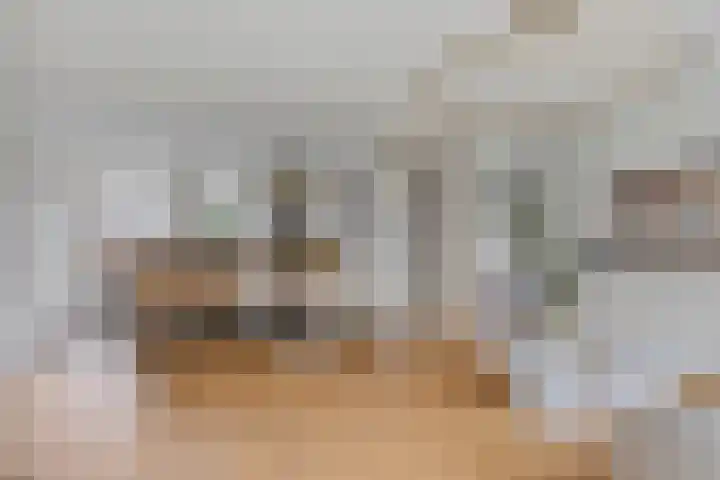 Fransebaan 78 Eindhoven thumbnail 8