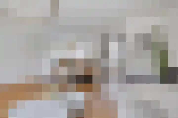 Fransebaan 78 Eindhoven thumbnail 9