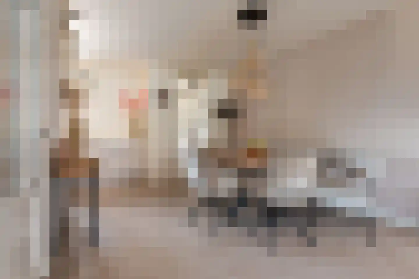 Fransebaan 82 Eindhoven thumbnail 13