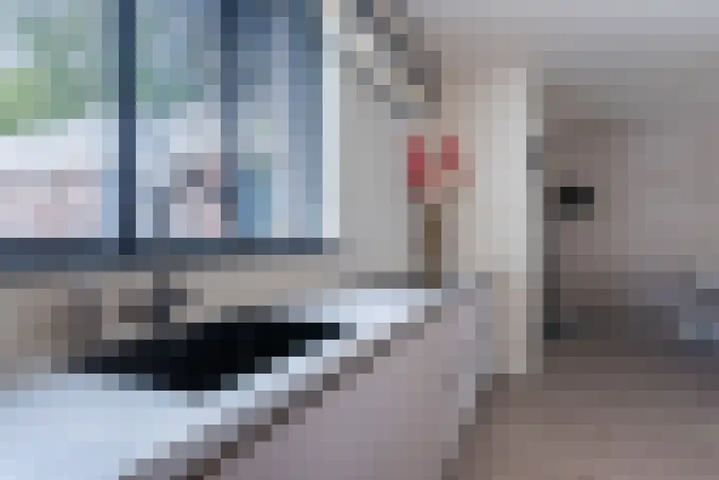 Fransebaan 82 Eindhoven thumbnail 24
