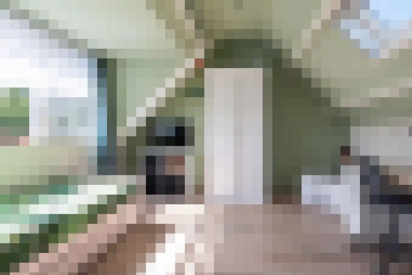 Fransebaan 82 Eindhoven thumbnail 31
