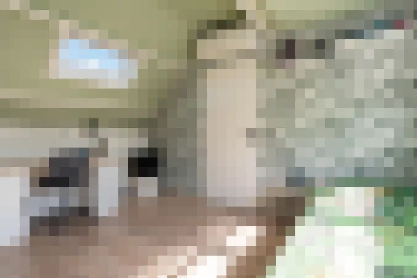 Fransebaan 82 Eindhoven thumbnail 33
