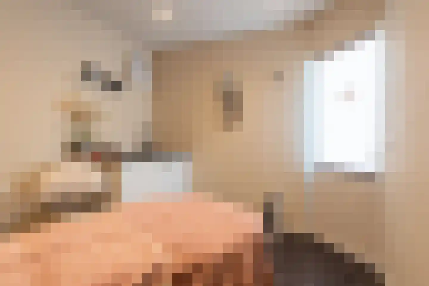 Fransebaan 82 Eindhoven thumbnail 48