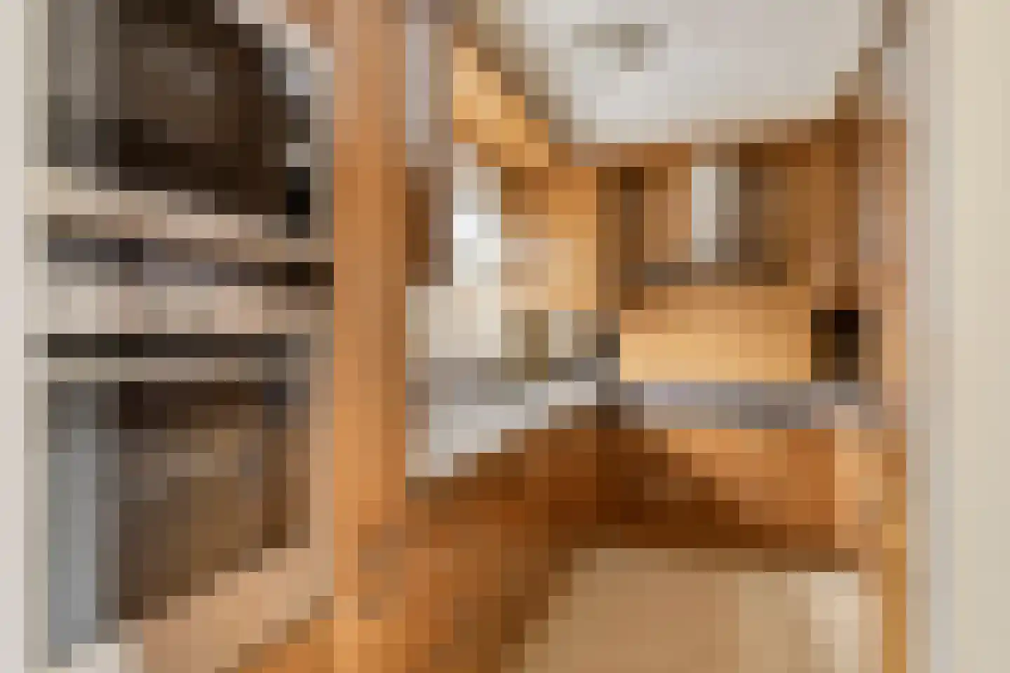 Fransebaan 99 Eindhoven thumbnail 12