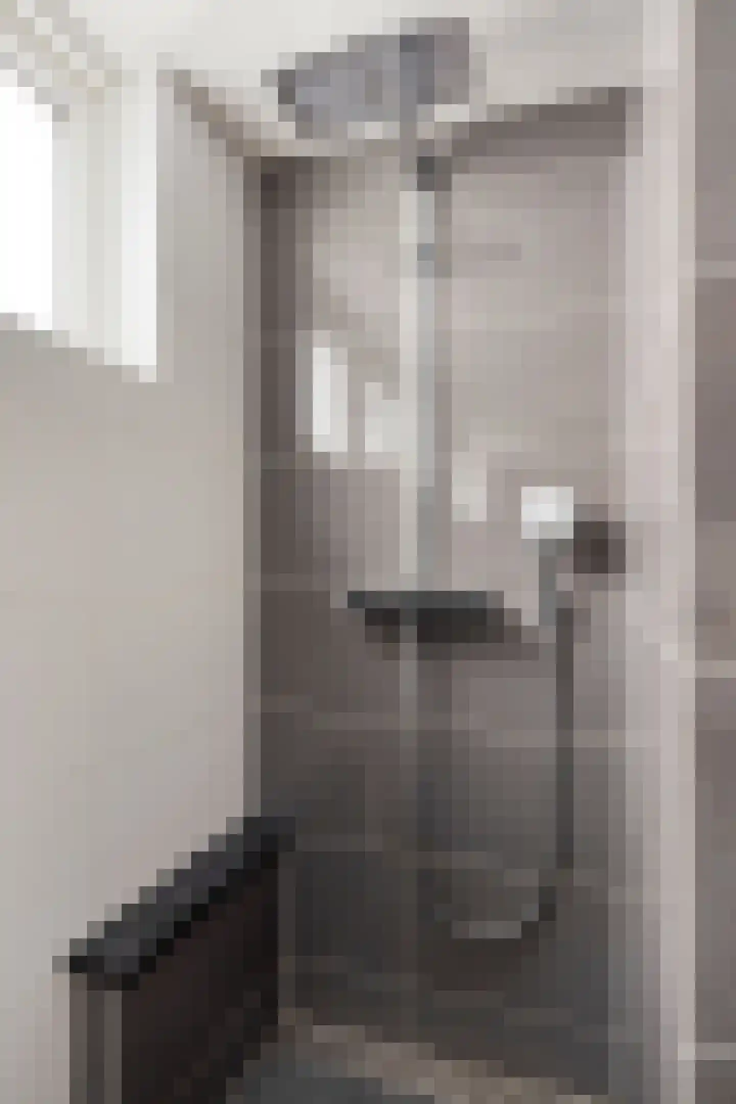 Fransebaan 99 Eindhoven thumbnail 24