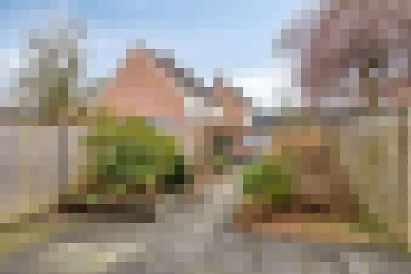 Fransebaan 99 Eindhoven thumbnail 33