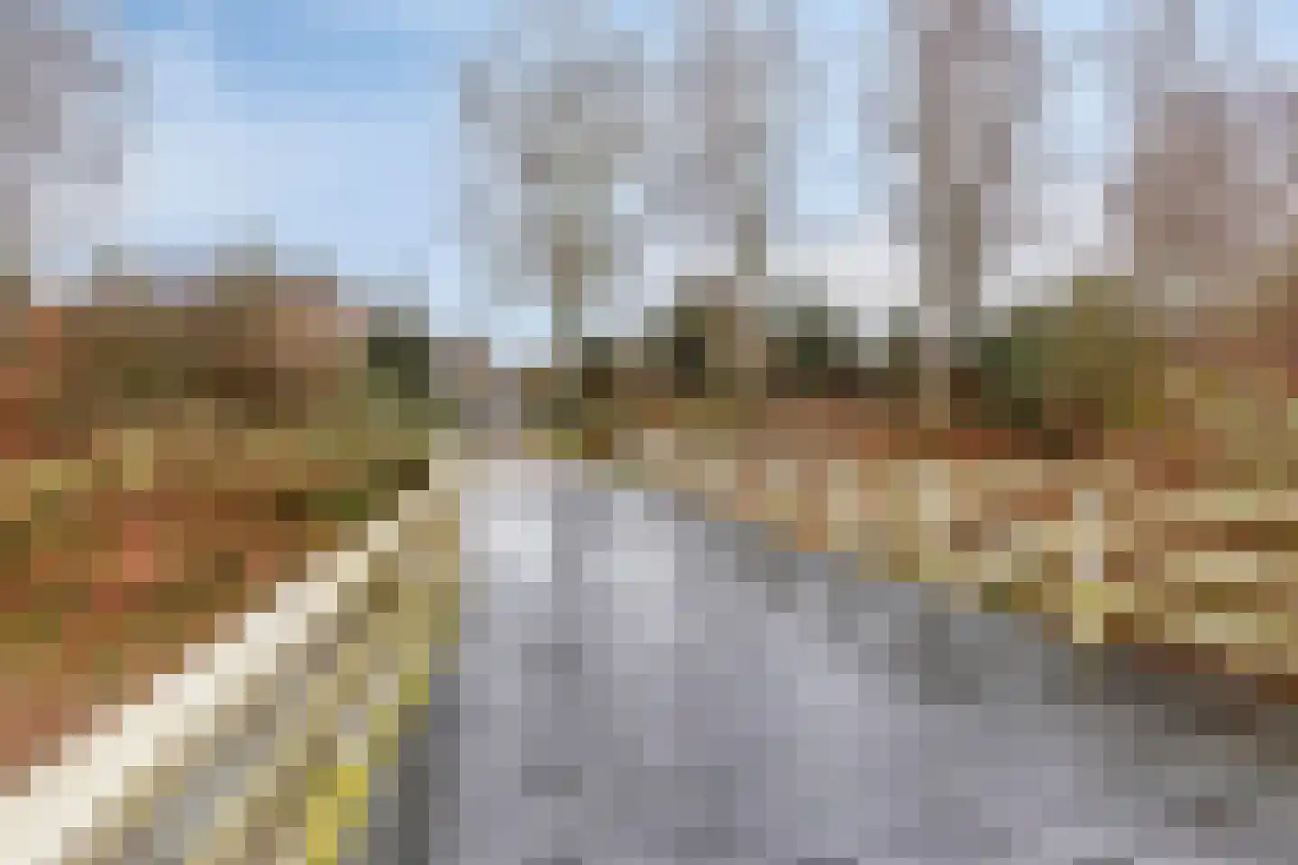 Fransebaan 99 Eindhoven thumbnail 41