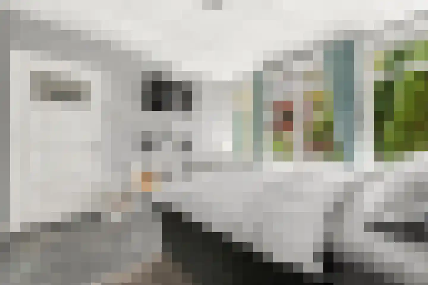 Franselaan 160 B Rotterdam thumbnail 17