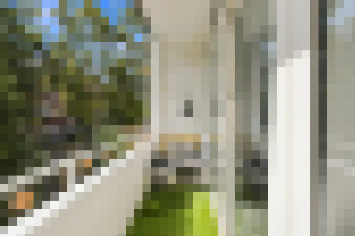 Franselaan 160 B Rotterdam thumbnail 18