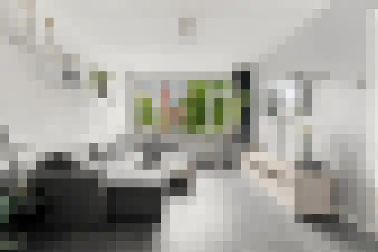 Franselaan 160 B Rotterdam thumbnail 7