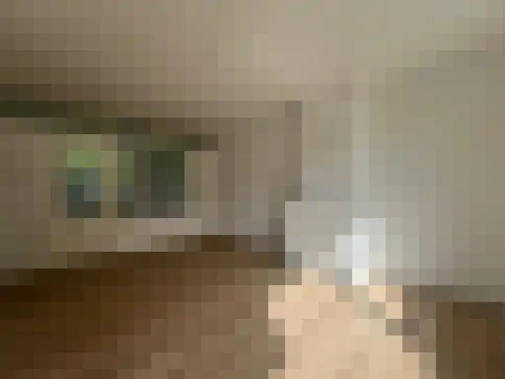 Franselaan 167 Rotterdam thumbnail 5