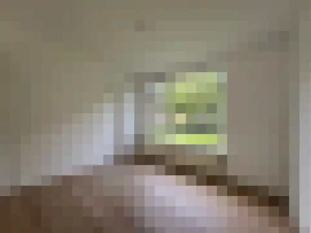 Franselaan 169 Rotterdam thumbnail 5