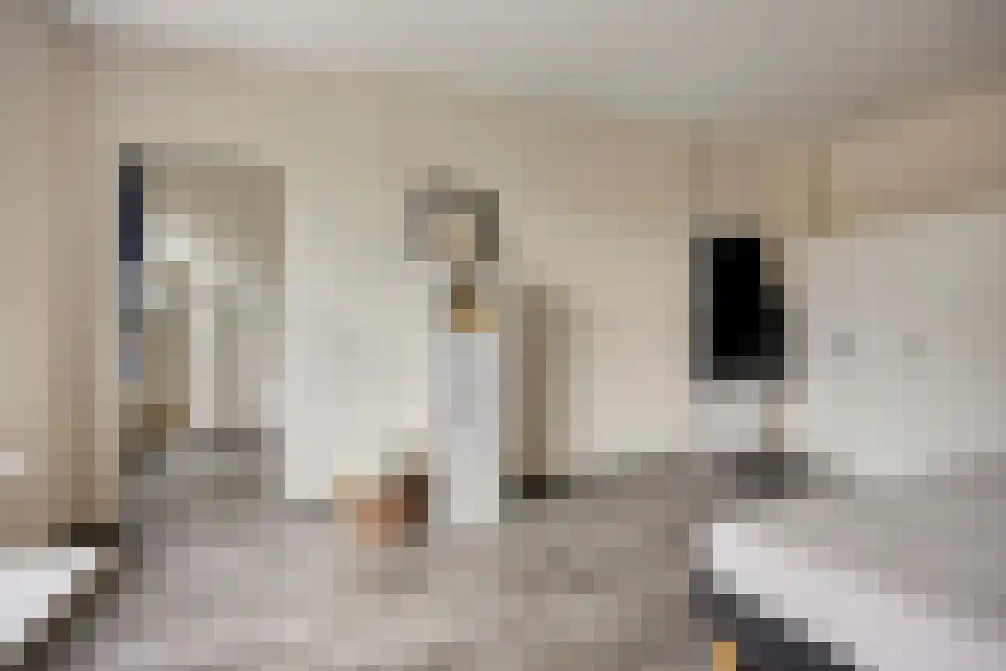 Franselaan 200 A Rotterdam thumbnail 12
