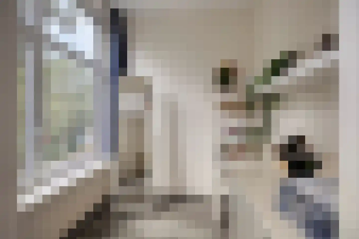 Franselaan 200 A Rotterdam thumbnail 13