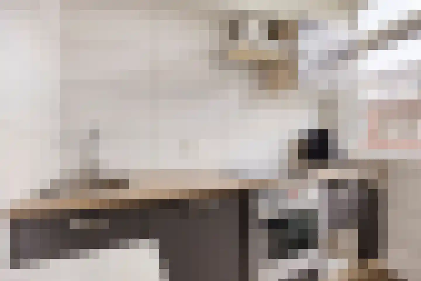 Franselaan 200 A Rotterdam thumbnail 6