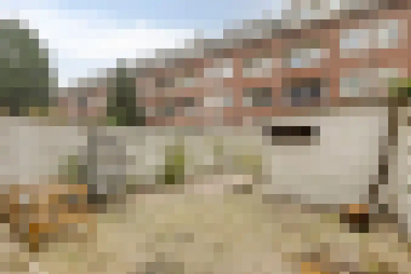Franselaan 202 A Rotterdam thumbnail 14