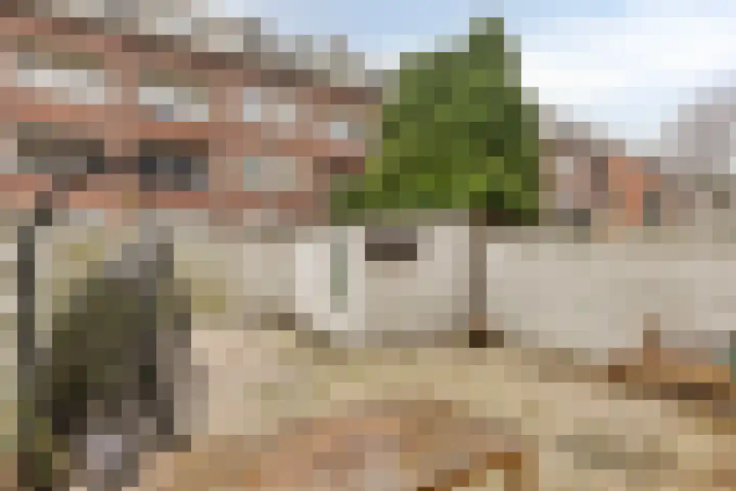 Franselaan 202 A Rotterdam thumbnail 15