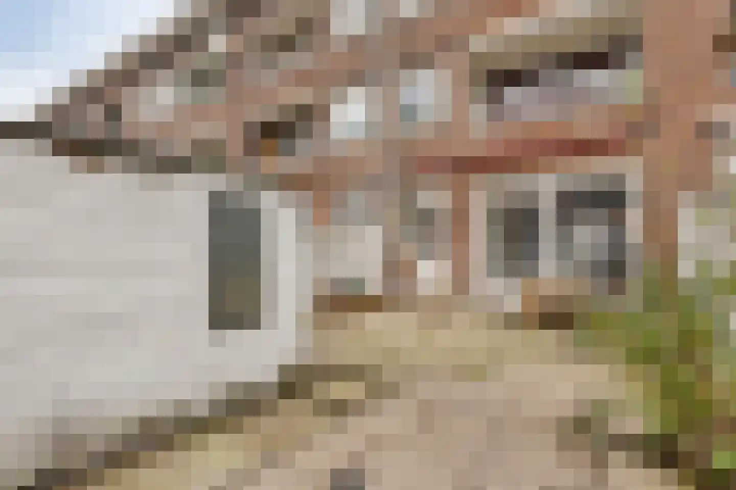 Franselaan 202 A Rotterdam thumbnail 17