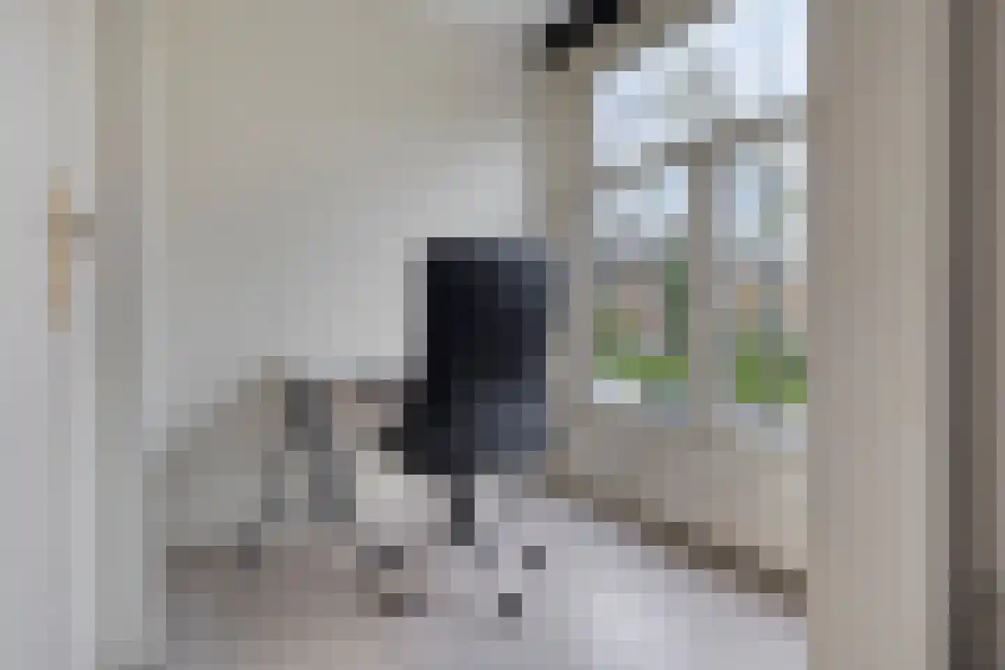 Franselaan 202 B Rotterdam thumbnail 5