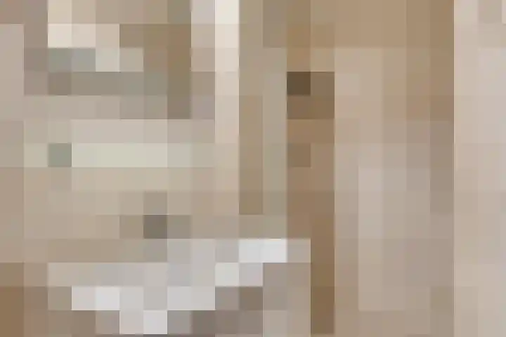 Franselaan 202 C Rotterdam thumbnail 11