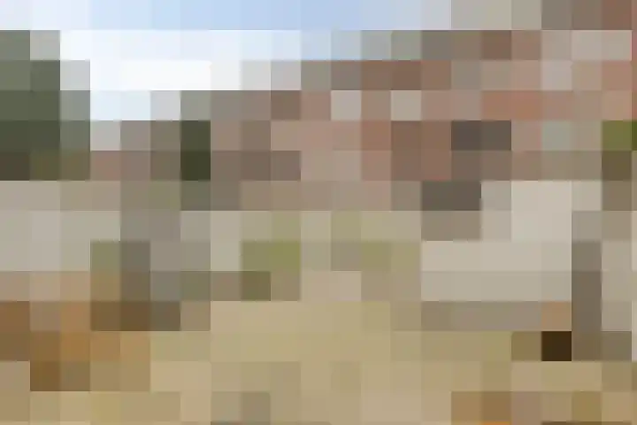 Franselaan 202 C Rotterdam thumbnail 14