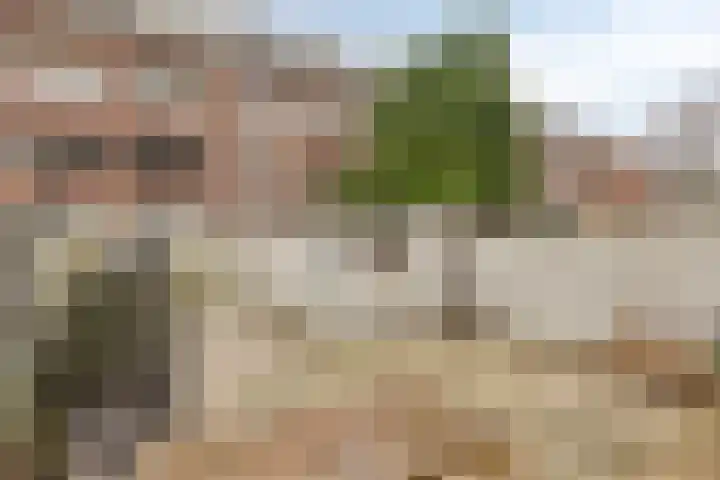 Franselaan 202 C Rotterdam thumbnail 15