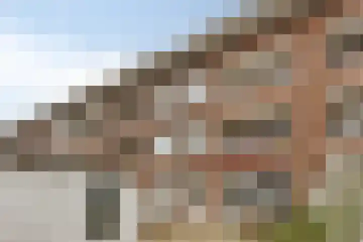 Franselaan 202 C Rotterdam thumbnail 16