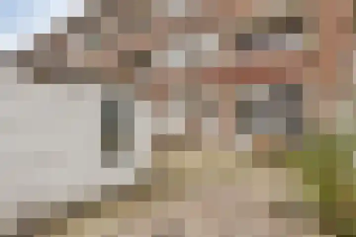 Franselaan 202 C Rotterdam thumbnail 17