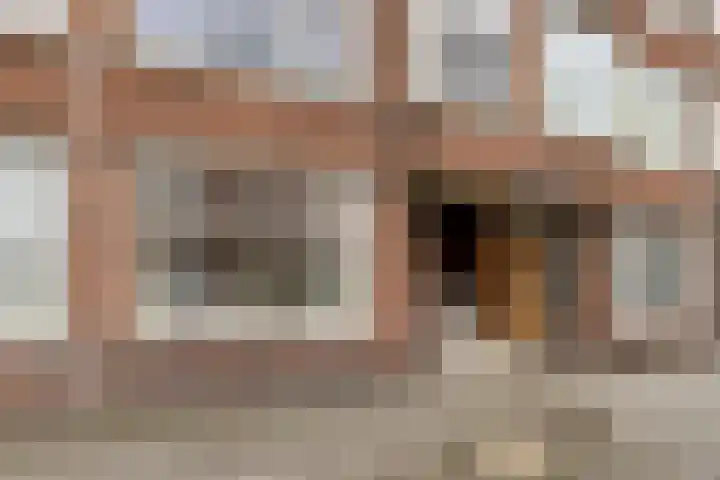 Franselaan 202 C Rotterdam thumbnail 19