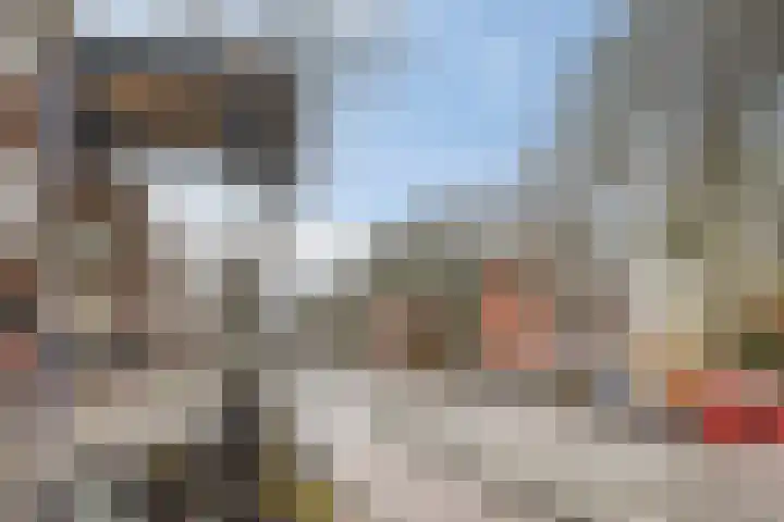 Franselaan 202 C Rotterdam thumbnail 21