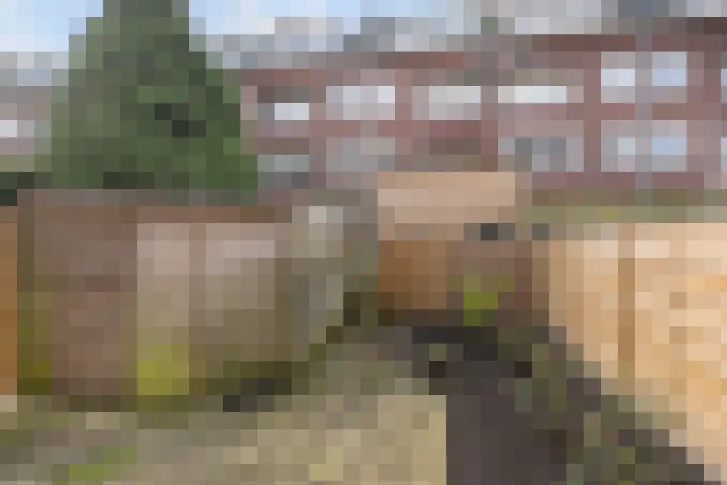 Franselaan 208 A Rotterdam thumbnail 31