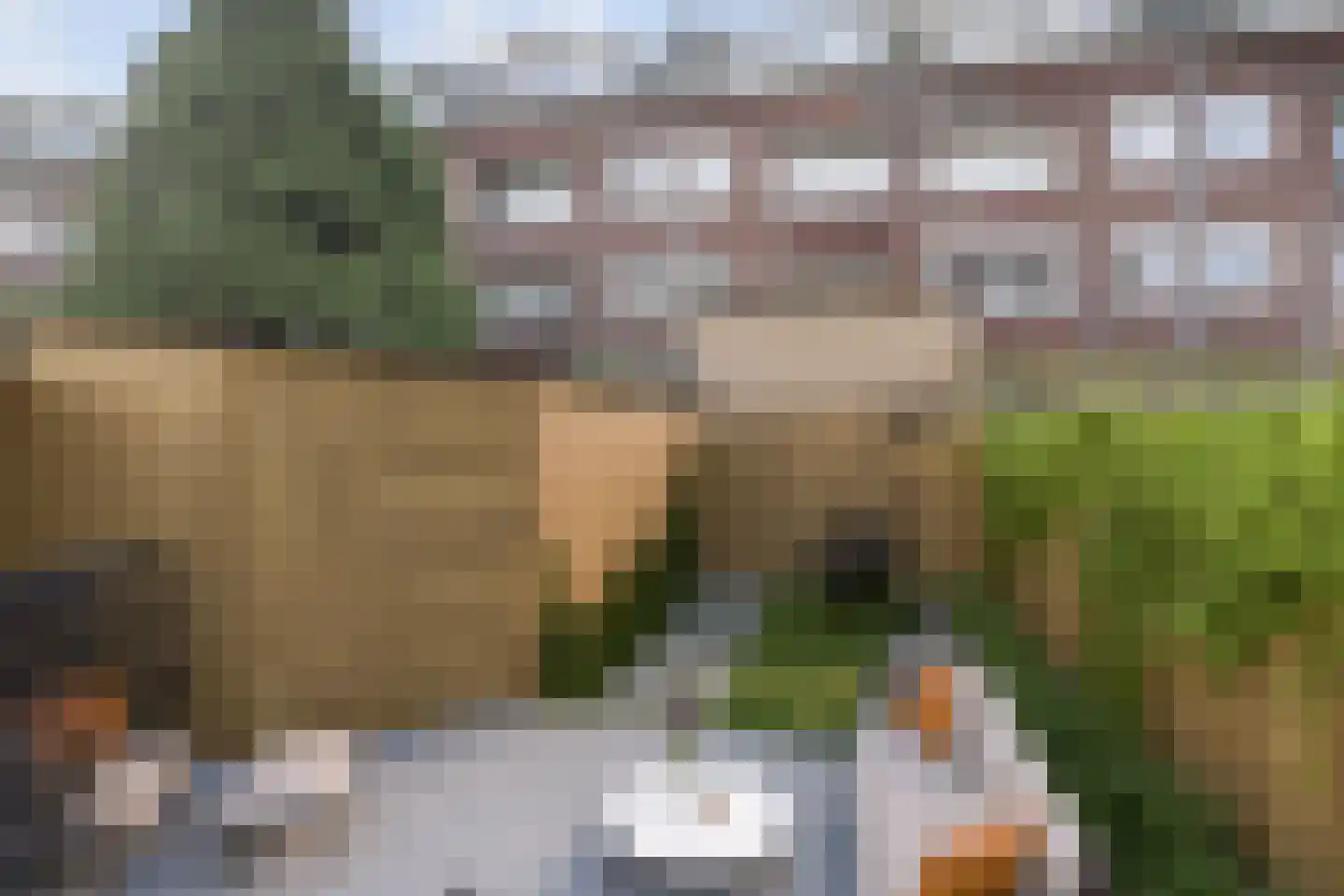 Franselaan 208 A Rotterdam thumbnail 32