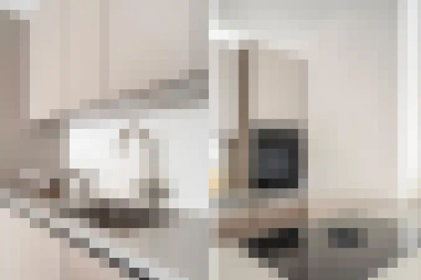 Franselaan 220 A Rotterdam thumbnail 19